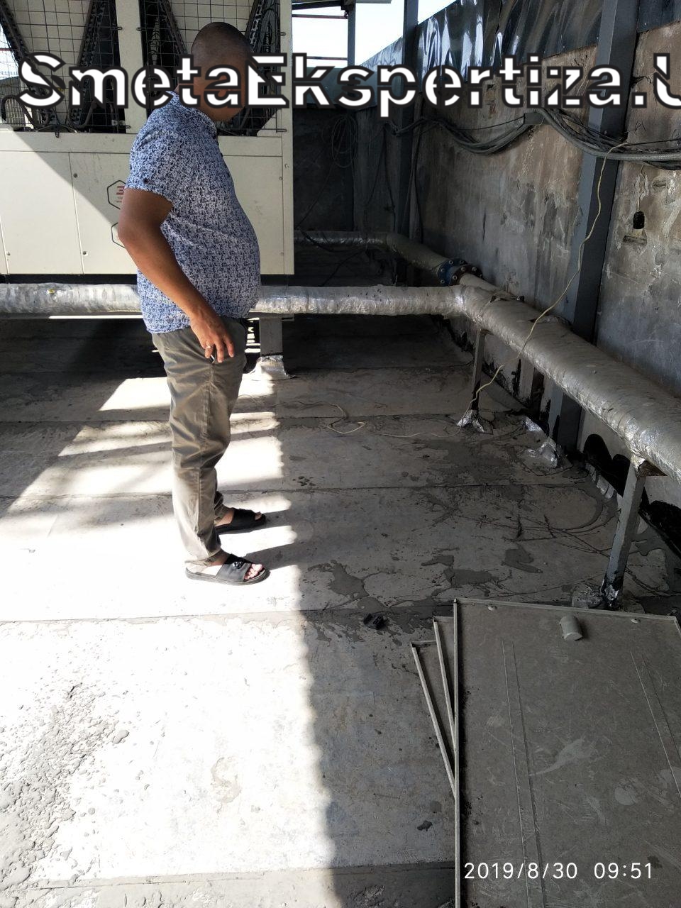 фз экспертиза смет