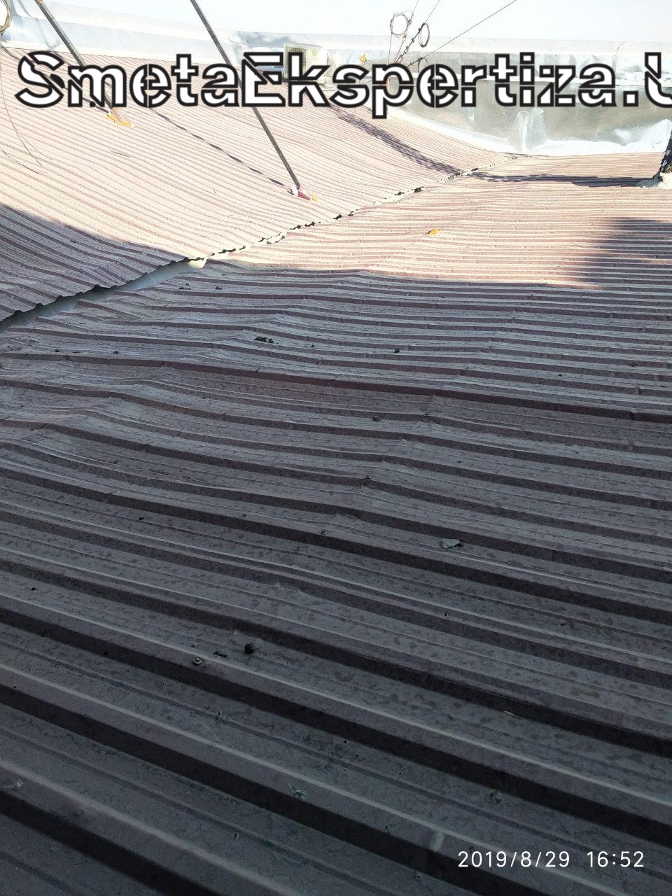 стоимость экспертизы смет