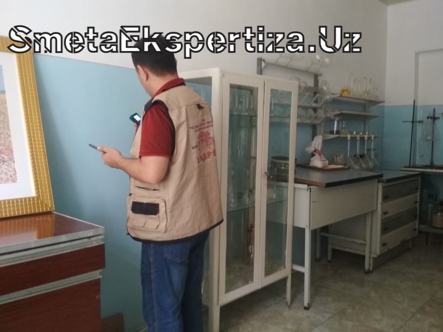 гос экспертиза смет