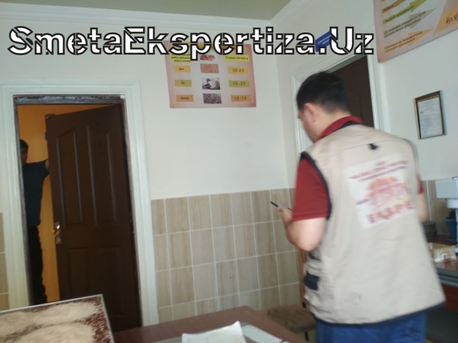 смета экологическая экспертиза