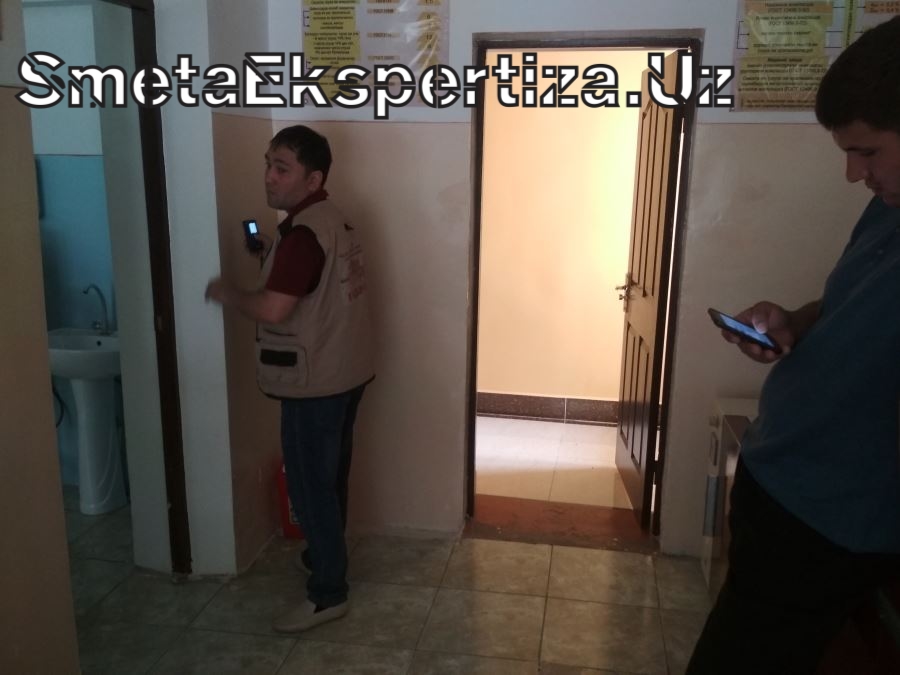 пример экспертизы сметы