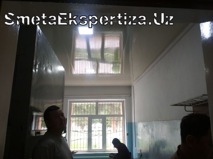 экспертиза сметы образец